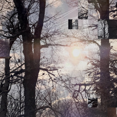 ax1tl, Trac3r & madszsz – { disorder and memory }