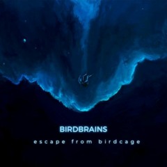 Escape from Birdcage