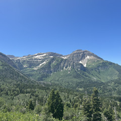 shine down on me (prod. grayskies)