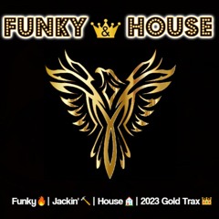 Funky & House Mix 👑 2023 Gold Volume 2 👑