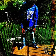 Want u for the night ft bukkz
