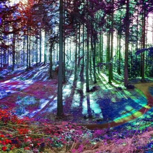 PsyConstruct - Forest DJ-Set @ Magic Forest 05.09.2020