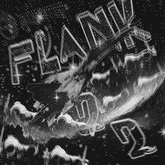FLANK 2