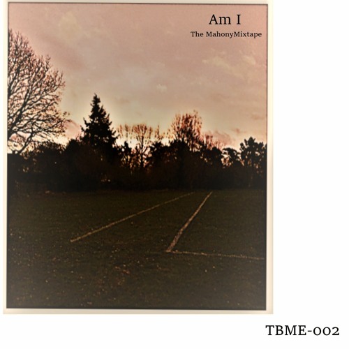 TBME-002 AM I