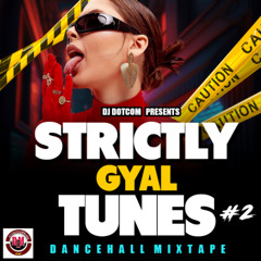 DJ DOTCOM PRESENTS STRICTLY GYAL TUNES MIXTAPE VOL.2 (2025)⚡