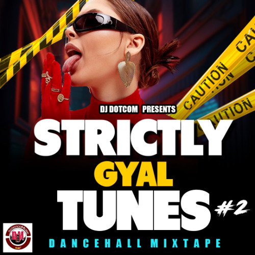 DJ DOTCOM PRESENTS STRICTLY GYAL TUNES MIXTAPE VOL.2 (2025)⚡