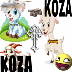 KOZA!