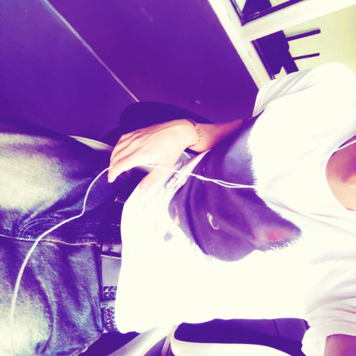 cant do it (prod crib.exe)