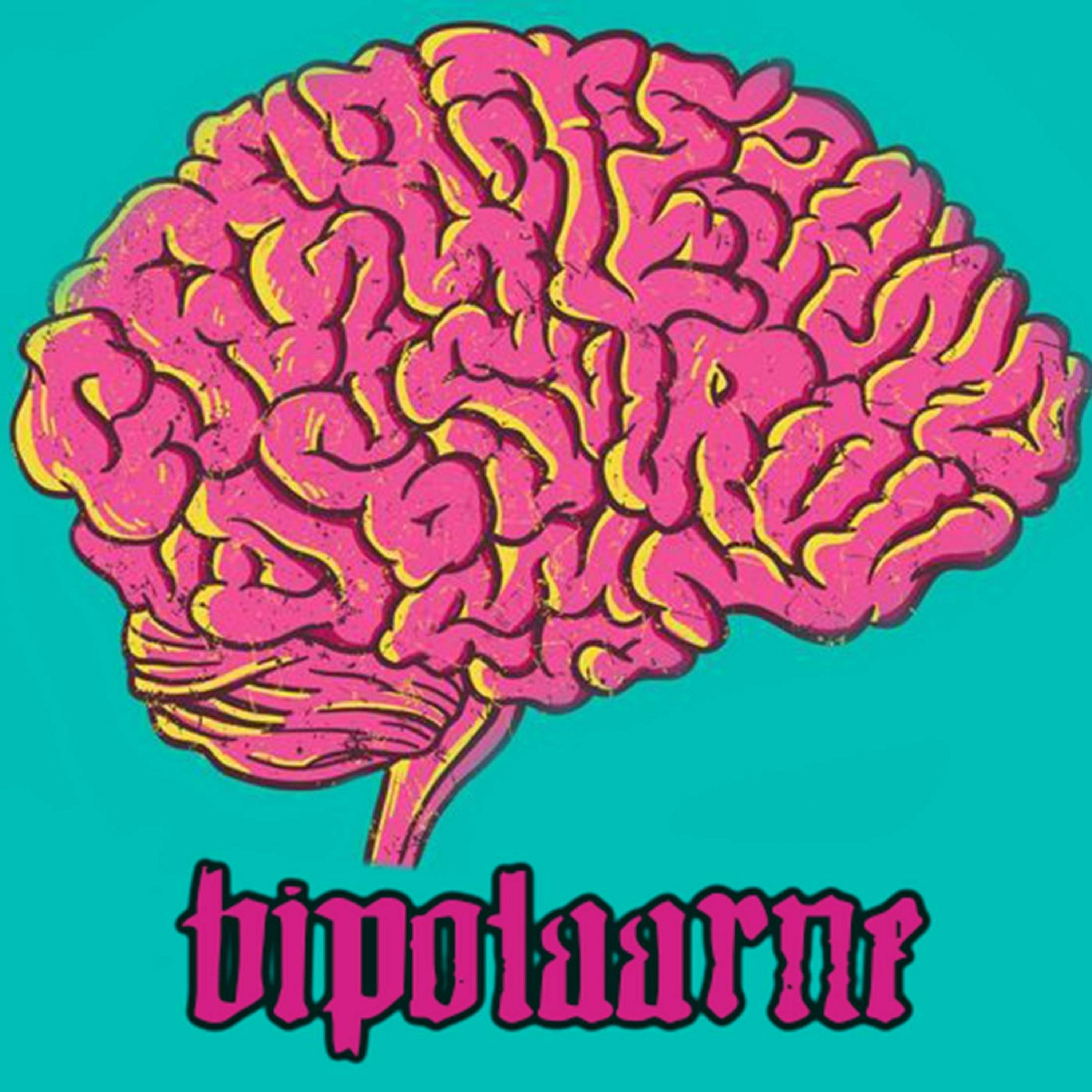 Bipolaarne Reisimine #11