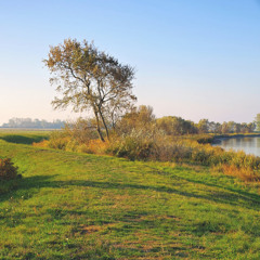 taylor swift- you belong with me piano