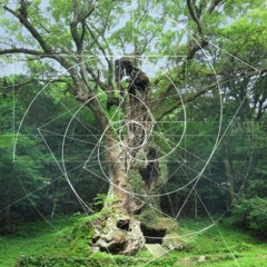 IDM PEACEFUL MIX @ Xerizz