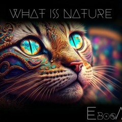 What Is Nature