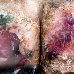 SYMBIOSIUM_Audioguide : Ève Gabriel Chabanon - Somatic Communism