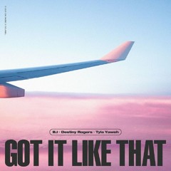 B.I, Destiny Rogers, Tyla Yaweh - Got It Like That