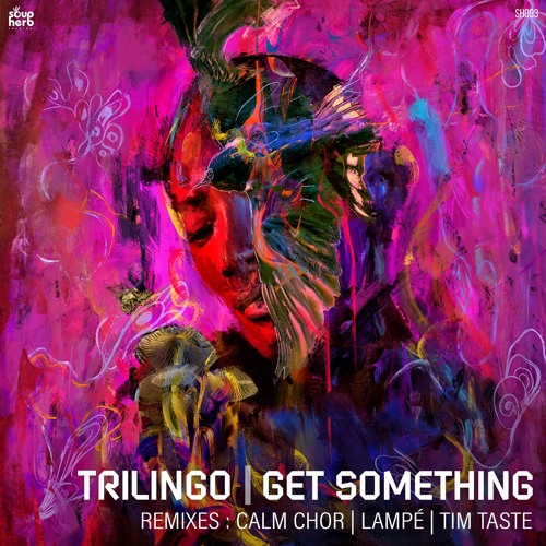 [SNIPPET]_Trilingo_-_Get_Something_(_Original_Mix_)