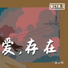 林小珂 - 爱,存在「我要的爱，只在你身上存在」【動態歌詞/Lyrics Video】