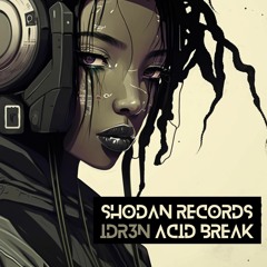 IDR3N Acid Break (Original Mix)