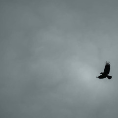 Beach Freak (ft. Gilllyyyy)