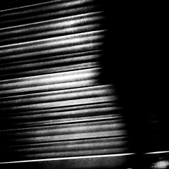 Dance In The Chaos
