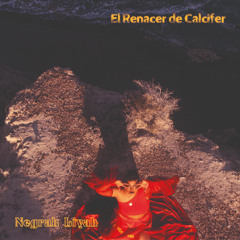 Cap. 3: El Despegue (Como el Fénix)