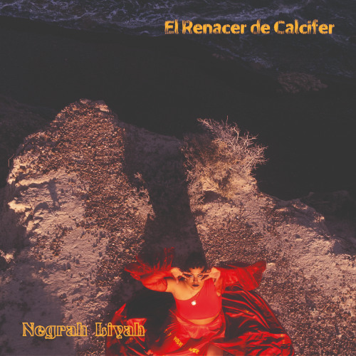 Cap. 3: El Despegue (Como el Fénix)