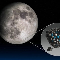 Worried About Fading COVID-19 Antibodies? Not So Fast.