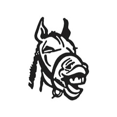 Haunted X Donkey Dust