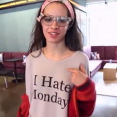 stain collector - vermont