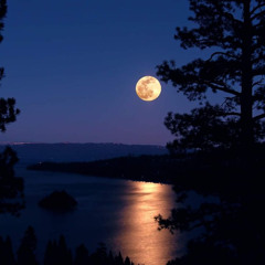 @Mo - Don't Leave (@mglizzy Anthem) #jerseyclub