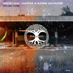 White Leaf - Room To Dream