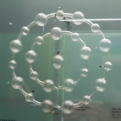 Fresques - Des Pas Dans La Neige