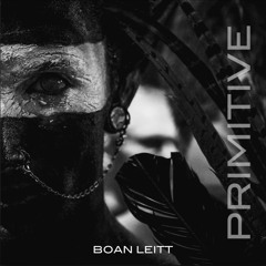 Boan Leitt - Introspective