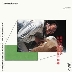 Piotr Kurek - Paper Tigers (MONDOJ11)