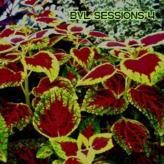 BVL Sessions 4 - AH