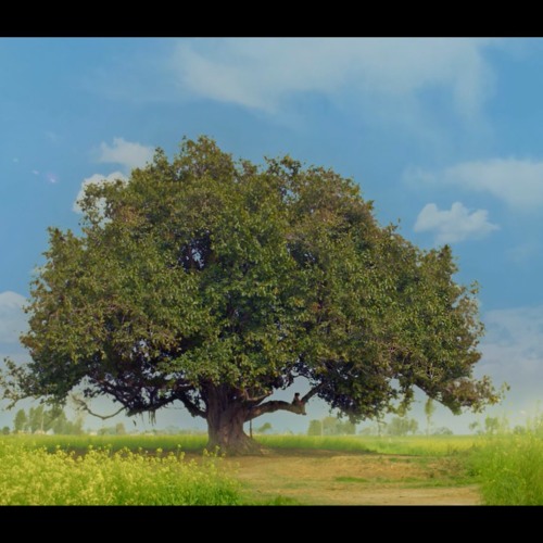 Main Ki Karaan- Laal Singh Chaddha