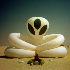A Walk In The Desert 11