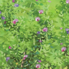 cremona flowers【#cosmicradio2025】