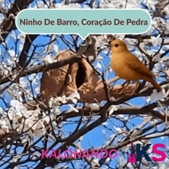 Ninho de Barro, Coração de Pedra