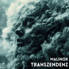 Transzendenz (Original Mix)