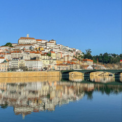 SoundWalk (stone falling into the water- Repaired Sound) - Jardim Botânico