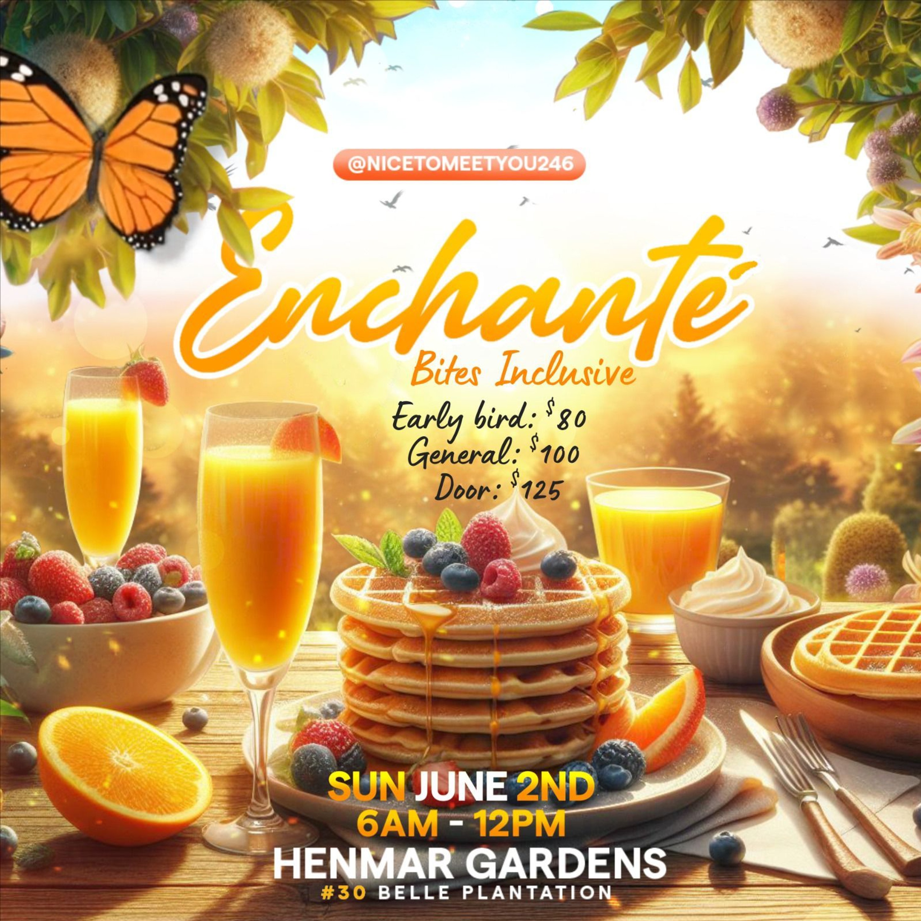 Enchante Promo #3