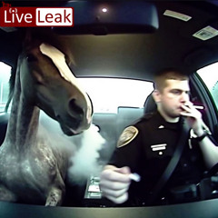 #Geerakl_polizei.spot