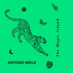 Premiere : Antonio Miele - Wash Your Spirit [Raibano Records]