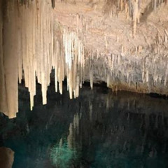 Review Special Price Bermuda Aquarium And Crystal Caves Admission