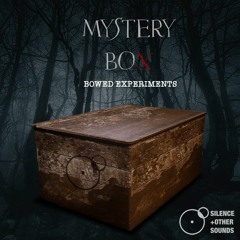 Silence+Other Sounds- Mystery Box Bowed Instruments