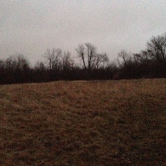 Day 1 - brambles_09012025