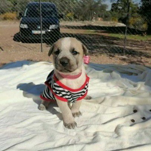 live on sub fm 29.11.2020 (y.unan guest mix)