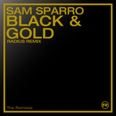 Sam Sparro - Black & Gold (RADIUS Remix) - FREE DOWNLOAD