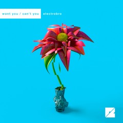 electrobro - want you / can't you