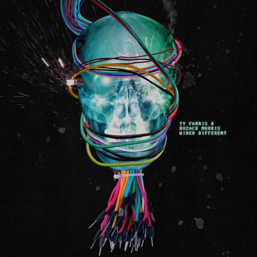 4. Ty Farris & Bozack Morris - All Or Nothin' (Feat. Pahlavi & M.A.V.)